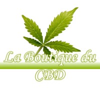 LA BOUTIQUE DU CBD LAPEYROUSE-FOSSAT 